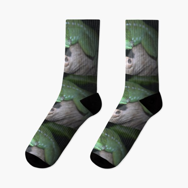 Item preview, Green Basilisk designed and sold by Savannah Gibbs.