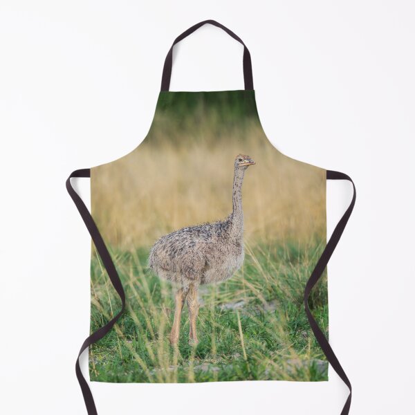 Item preview, Ostrich Chick Botswana designed and sold by PhotoArt by Joan Carroll.