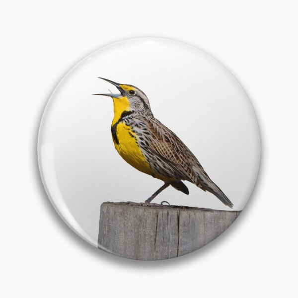 Item preview, Meadowlark designed and sold by RickClarkPhotos.