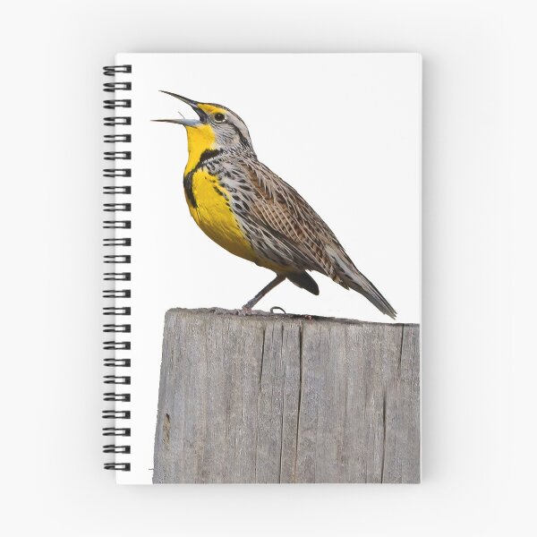 Item preview, Meadowlark designed and sold by RickClarkPhotos.