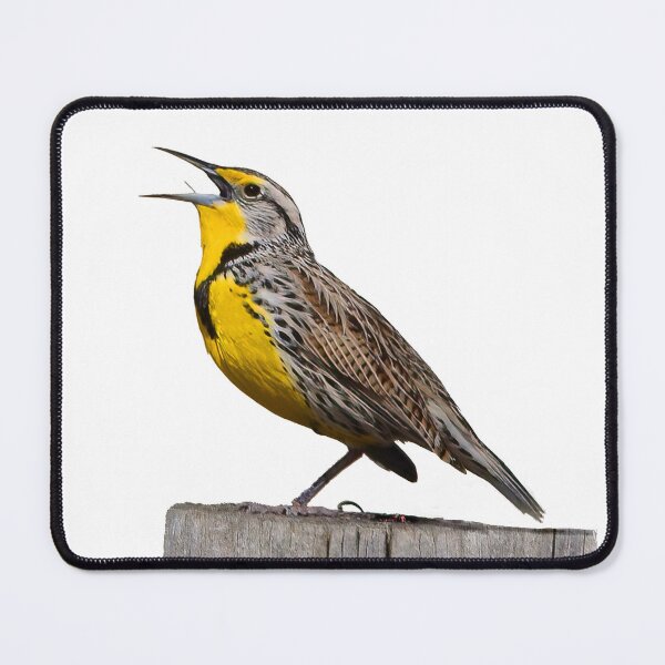 Item preview, Meadowlark designed and sold by RickClarkPhotos.