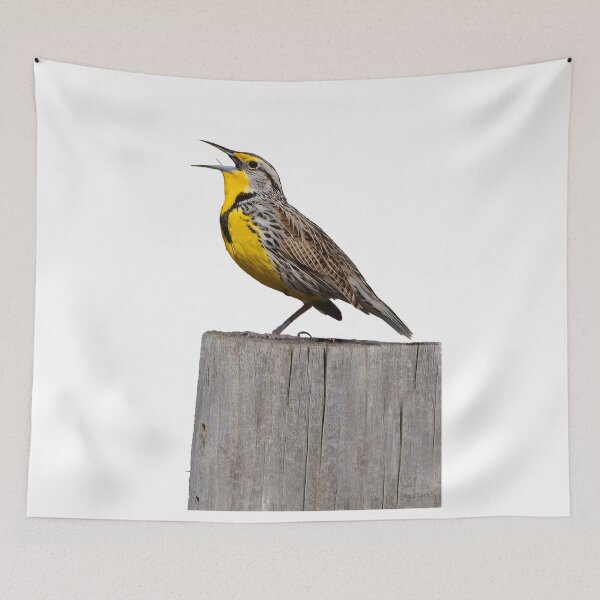Item preview, Meadowlark designed and sold by RickClarkPhotos.