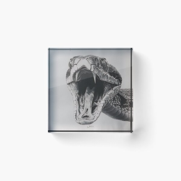 Item preview, Black and White Snake drawing designed and sold by Pencil-Art.