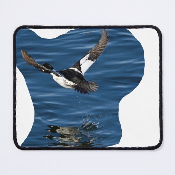 Item preview, Common Goldeneye Duck designed and sold by RickClarkPhotos.