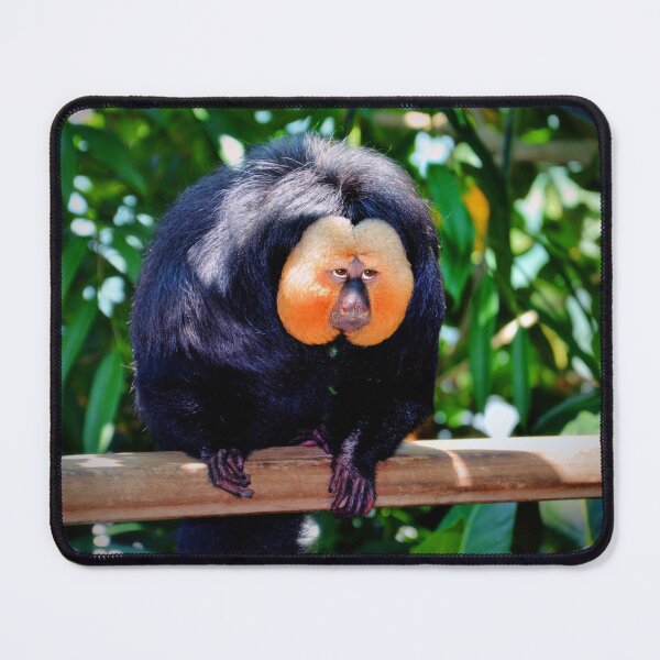 Item preview, Saki designed and sold by Savannah Gibbs.