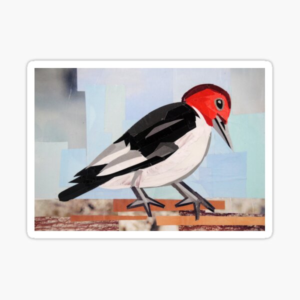 Item preview, The Woodpecker Carpenter designed and sold by megancoyle.