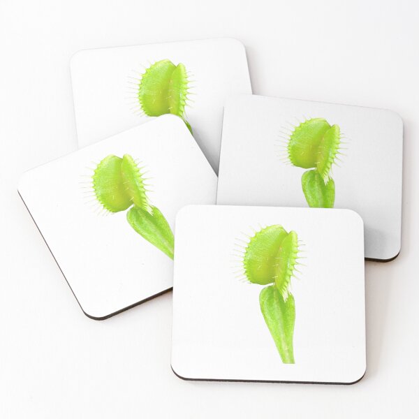 Item preview, Venus fly trap designed and sold by Lauracolleen3.