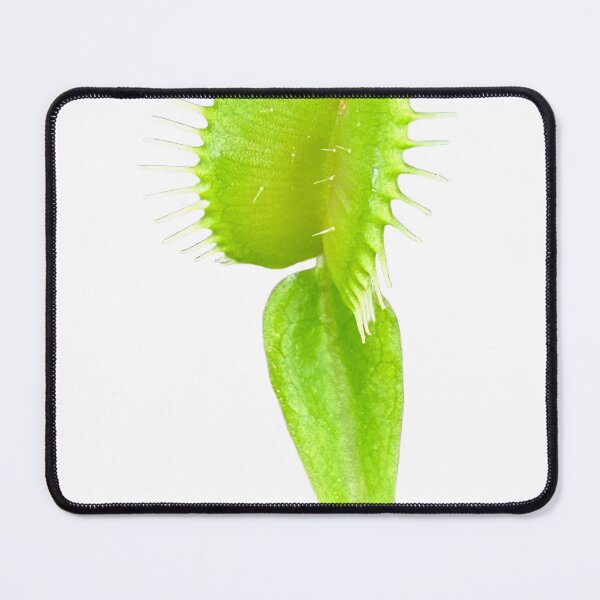 Item preview, Venus fly trap designed and sold by Lauracolleen3.