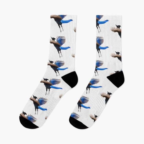 Item preview, Steller's Jay flying designed and sold by RickClarkPhotos.