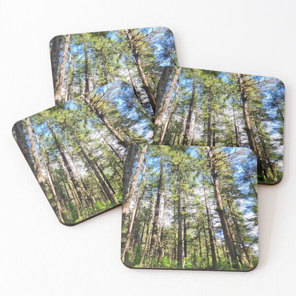 Item preview, Alaska Raptor Center Nature Trail designed and sold by UnicornPolly001.