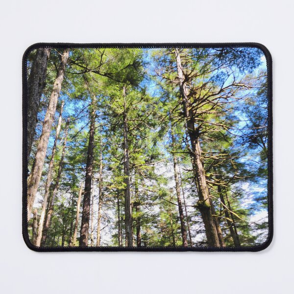 Item preview, Alaska Raptor Center Nature Trail designed and sold by UnicornPolly001.