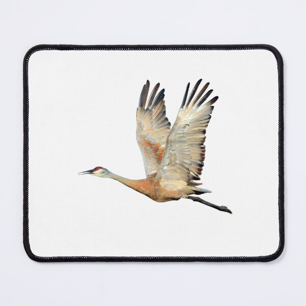 Item preview, Sandhill Crane flying designed and sold by RickClarkPhotos.