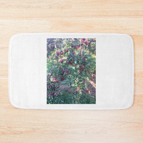 Item preview, Apple picking , New Hampshire, fall, Autumn  designed and sold by Lauracolleen3.