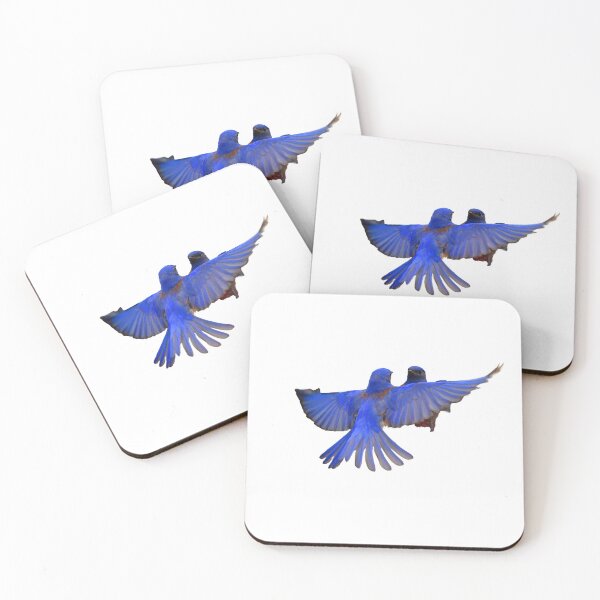 Item preview, Western Bluebirds flying designed and sold by RickClarkPhotos.