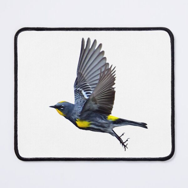 Item preview, Yellow-rumped Warbler designed and sold by RickClarkPhotos.