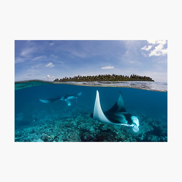 Two worlds Photographic Print