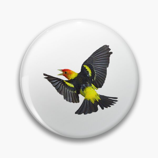 Item preview, Western Tanager flying designed and sold by RickClarkPhotos.