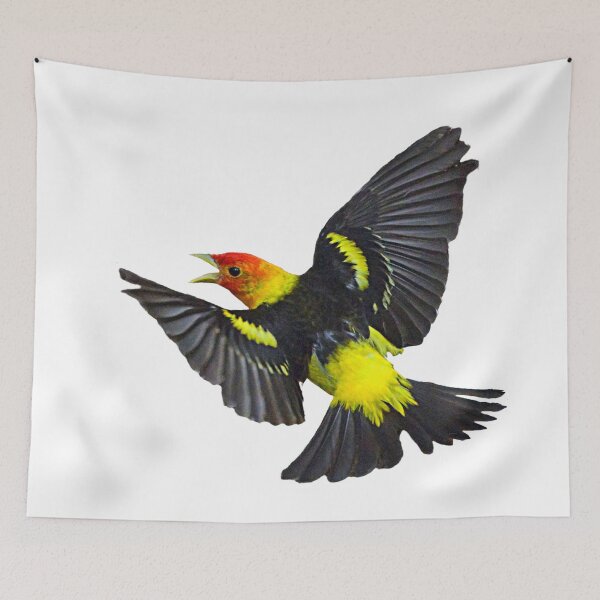 Item preview, Western Tanager flying designed and sold by RickClarkPhotos.