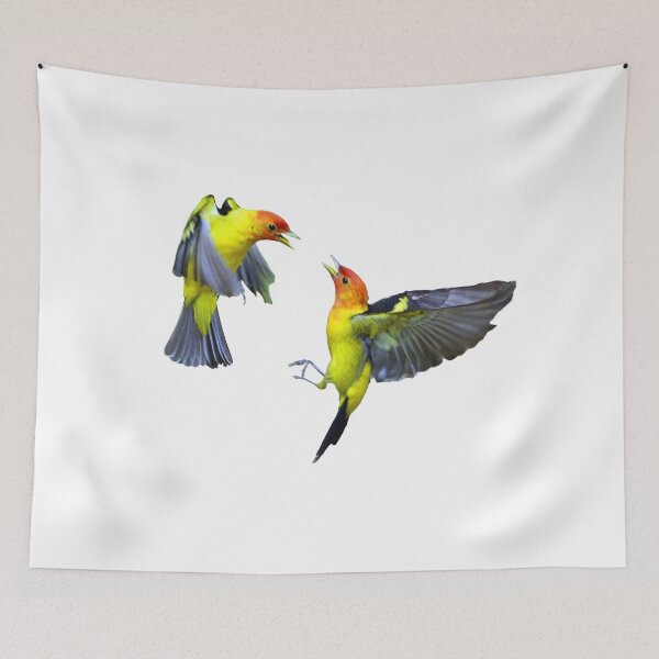Item preview, Western Tanagers fighting designed and sold by RickClarkPhotos.
