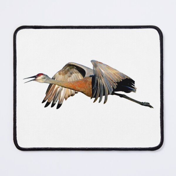 Item preview, Sandhill Crane flying designed and sold by RickClarkPhotos.