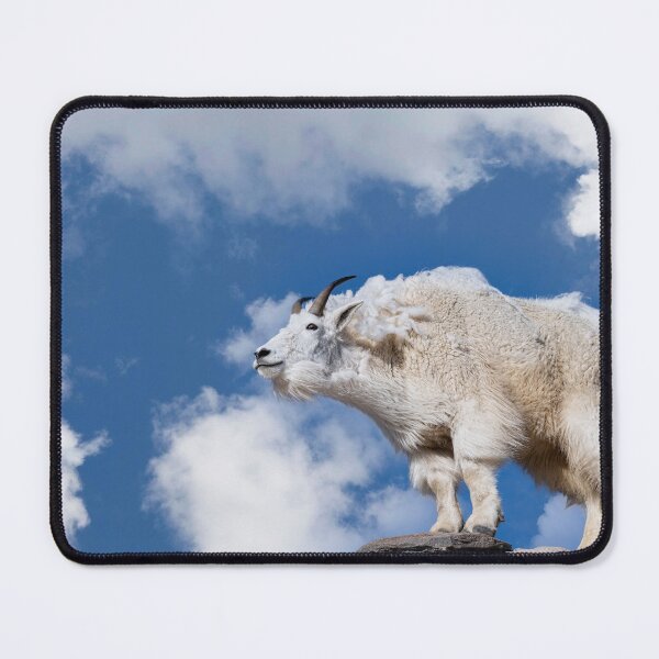 Item preview, Mountaintop Monarch -The Regal Beast of Colorado designed and sold by Rocky Mountain Artistry.