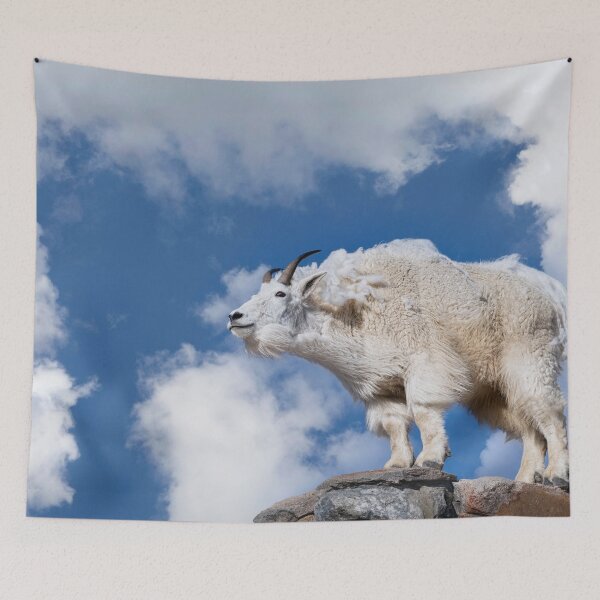 Item preview, Mountaintop Monarch -The Regal Beast of Colorado designed and sold by Rocky Mountain Artistry.
