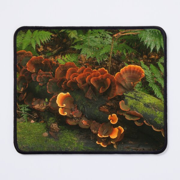 Item preview, Ginger fungi designed and sold by Michael Matthews.