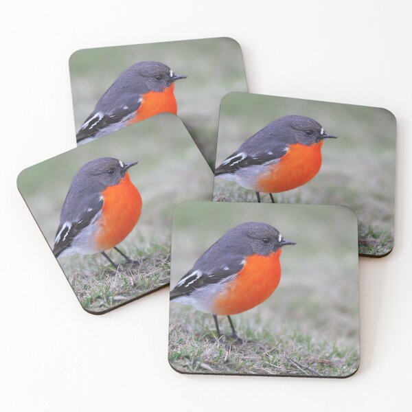 Item preview, Australian native Flame Robin designed and sold by Seesee.