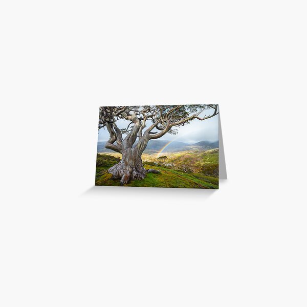 Item preview, Snowgum Rainbow, Kosciuszko National Park, New South Wales, Australia designed and sold by Michael Boniwell.