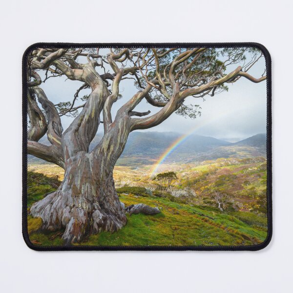 Item preview, Snowgum Rainbow, Kosciuszko National Park, New South Wales, Australia designed and sold by Michael Boniwell.