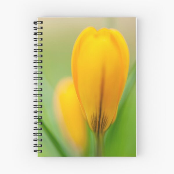 Item preview, Yellow Crocus designed and sold by assaf.