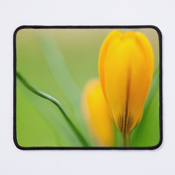 Item preview, Yellow Crocus designed and sold by assaf.