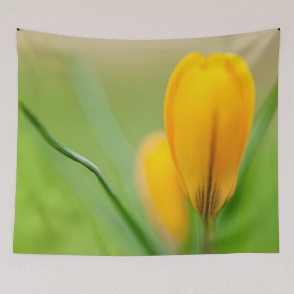 Item preview, Yellow Crocus designed and sold by assaf.