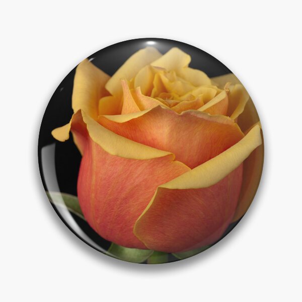 Item preview, Romantic Rose designed and sold by assaf.