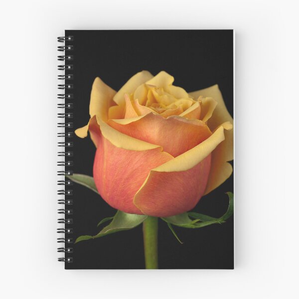Item preview, Romantic Rose designed and sold by assaf.