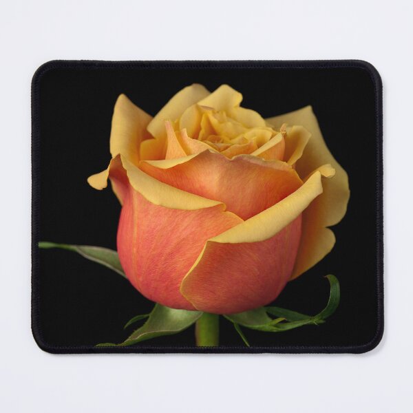 Item preview, Romantic Rose designed and sold by assaf.