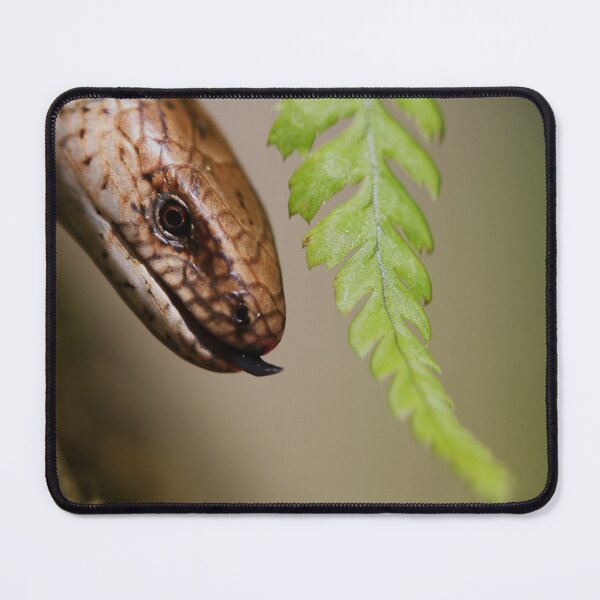 Item preview, Slow Worm - Legless Lizard. designed and sold by Christian Moss.