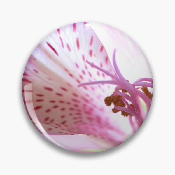 Item preview, alstroemeria flower designed and sold by IgorKovalenko.