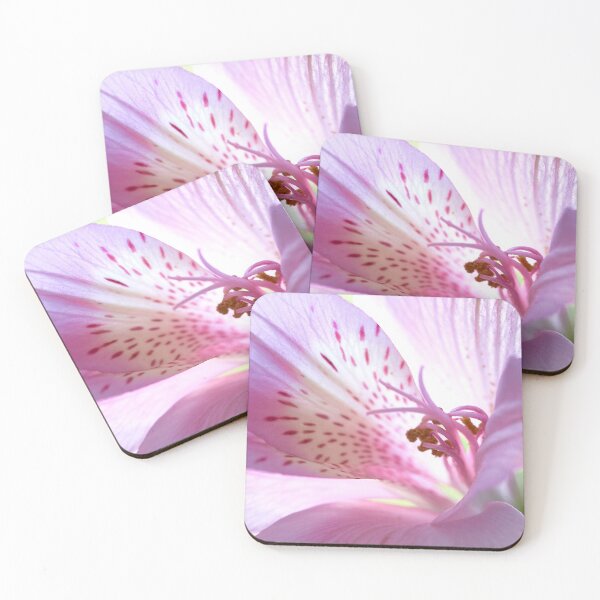 Item preview, alstroemeria flower designed and sold by IgorKovalenko.