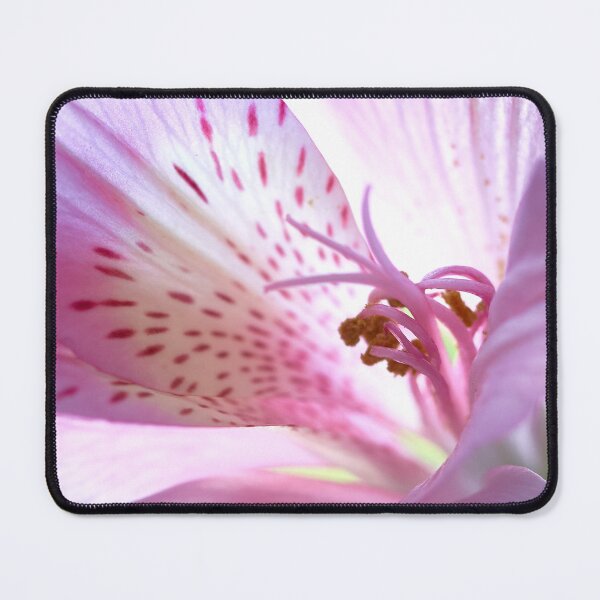 Item preview, alstroemeria flower designed and sold by IgorKovalenko.