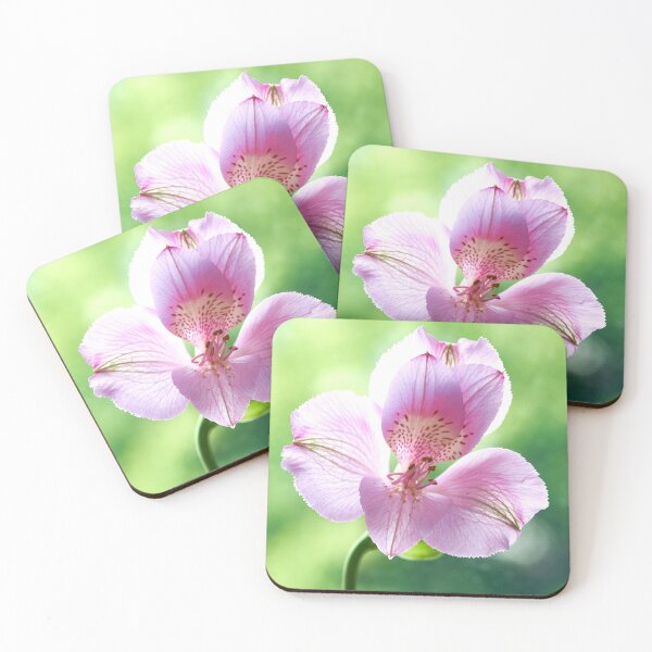 Item preview, alstroemeria flower designed and sold by IgorKovalenko.