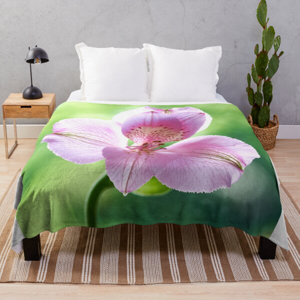 Item preview, alstroemeria flower designed and sold by IgorKovalenko.