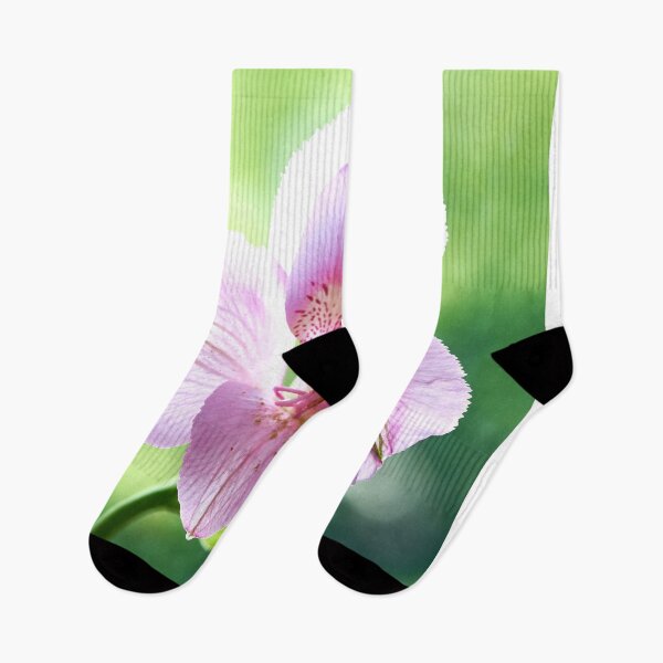 Item preview, alstroemeria flower designed and sold by IgorKovalenko.