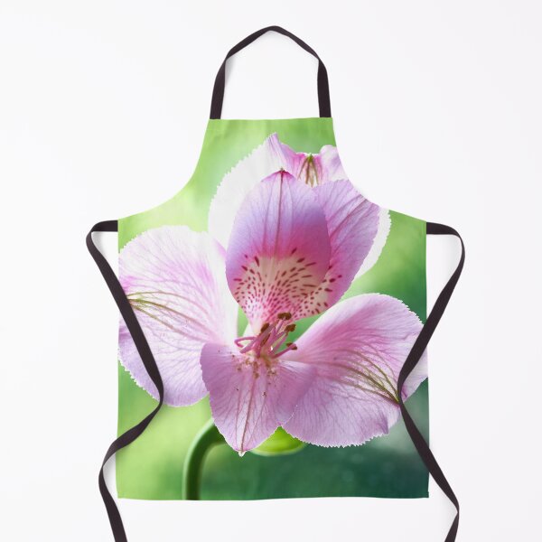 Item preview, alstroemeria flower designed and sold by IgorKovalenko.