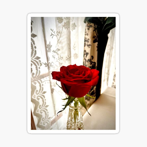 Item preview, Red Rose designed and sold by LilyMetzger.