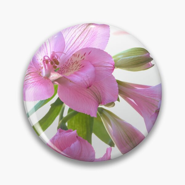 Item preview, alstroemeria flower designed and sold by IgorKovalenko.