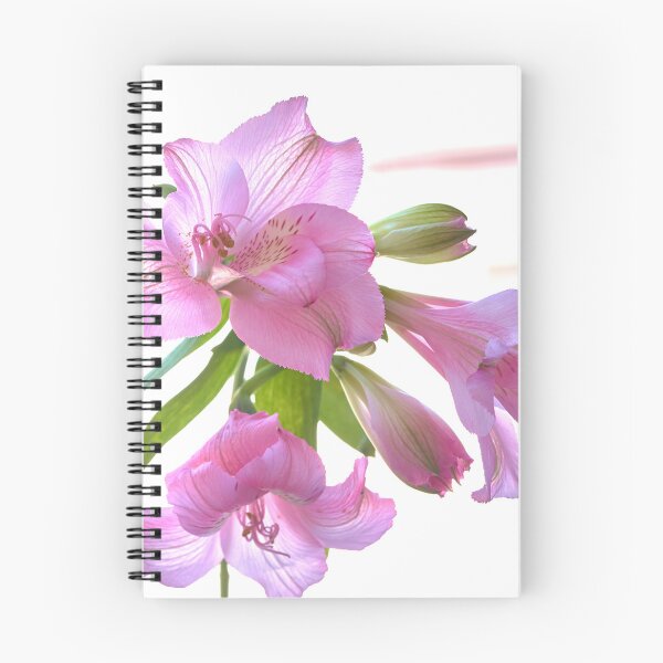 Item preview, alstroemeria flower designed and sold by IgorKovalenko.