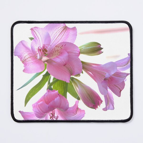 Item preview, alstroemeria flower designed and sold by IgorKovalenko.
