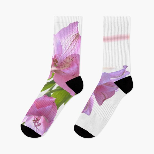 Item preview, alstroemeria flower designed and sold by IgorKovalenko.
