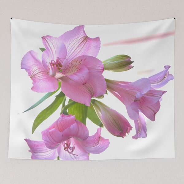 Item preview, alstroemeria flower designed and sold by IgorKovalenko.